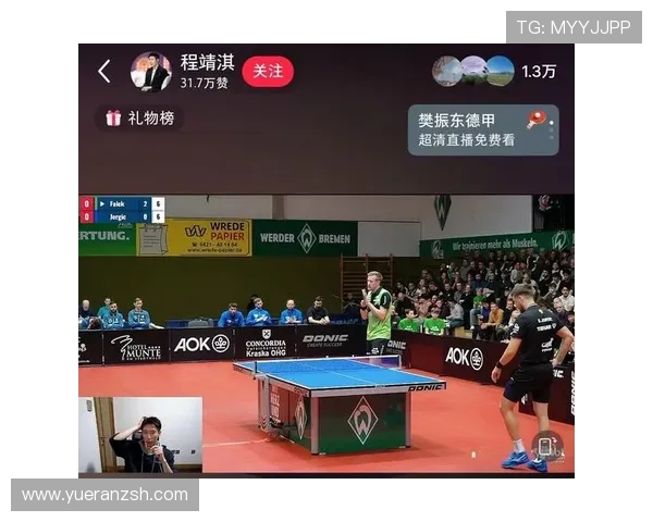 乒乓球德甲联赛的俱乐部所属国家及其在国际赛场的表现分析